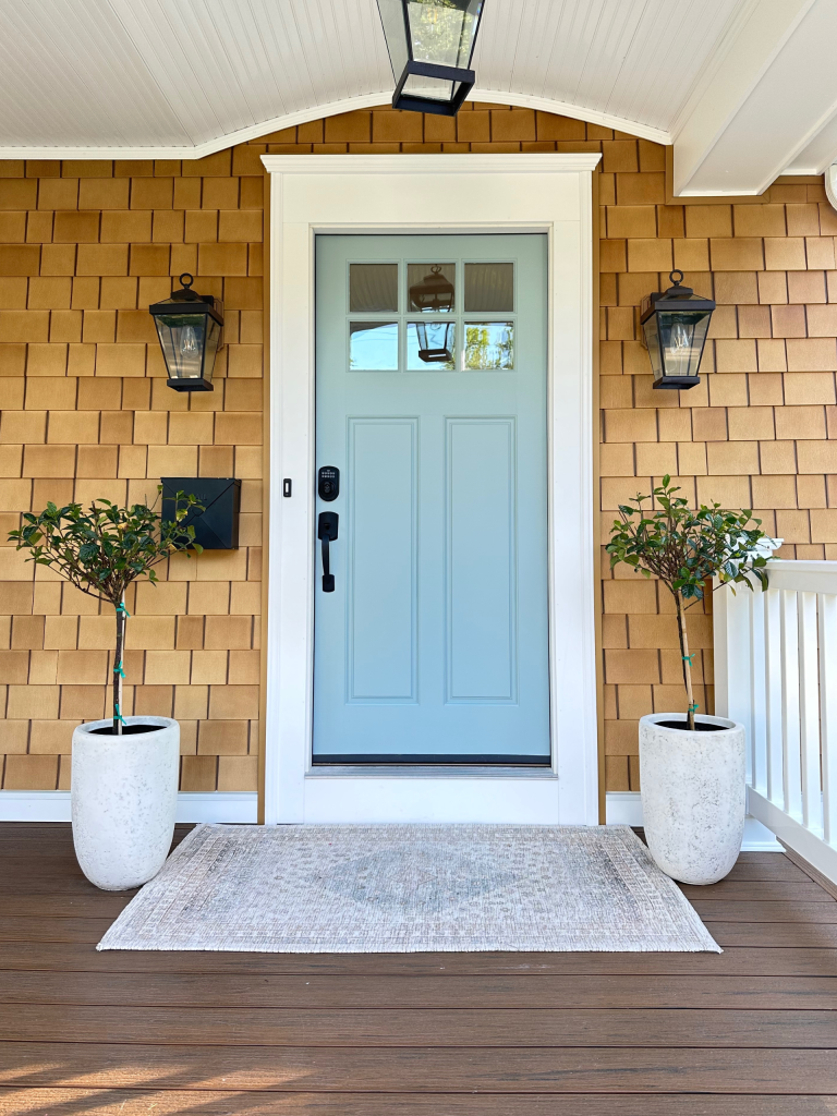 Door Painting Services